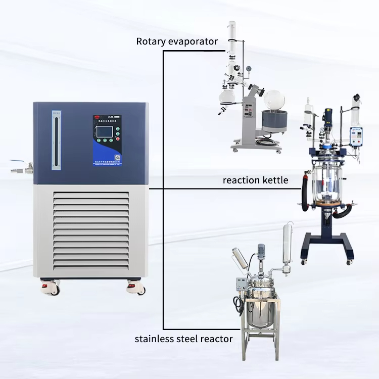 DLSZ Series Nhiệt độ làm mát nhiệt độ thấp Máy lạnh lưu thông lạnh
